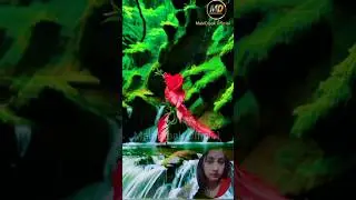 Leaves dancing 🥀🌹🥰#dance #leaves #viral #youtubeshorts #shorts #ytshorts