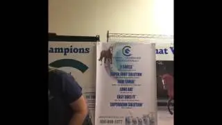 Choice Of Champions