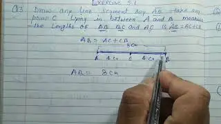 Class 6 - Exercise 5.1 - Q 3 | Draw any line segment say AB take any point c lying in between A and