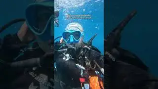 the only pressure i work well under is more than 1 bar 😭😅 #scuba #scubadiver #ocean #underwater