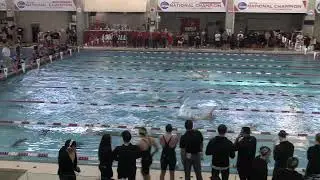M 100 BK