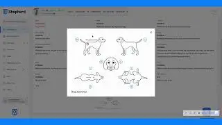 Discover Shepherd: The Leading Cloud-Based Veterinary Software in the U.S. | 5-Minute Overview