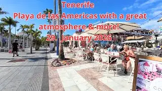 Tenerife - Playa de las Americas with a great atmosphere & more! 29.  January 2026 #tenerife