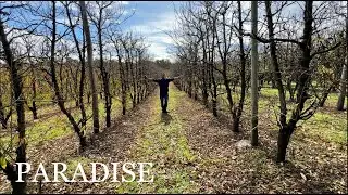 Discover the Beauty of S&R Orchard Kalamunda, Perth: A Quick Visual Tour!