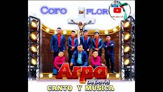 Coro Flor Arpa de David este pueblo feliz 