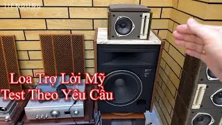 Loa Trợ Lời có phù hợp với dàn nghe nhạc hàng bãi không? Test loa lời Bose 121 Mỹ