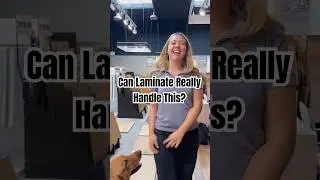 Provenza Laminate dream home | When your flooring is so durable | West Coast Floring Center