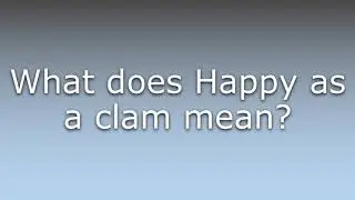 What does Happy as a clam mean?