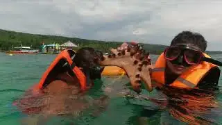 Giant Clam Sanctuary ( Samal Island, Davao, Philippines )