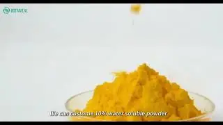 CoQ10 Powder