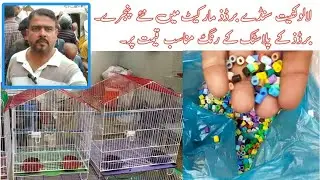New Cage Prices and Plastic Cut Ring for Birds | Duabirds007