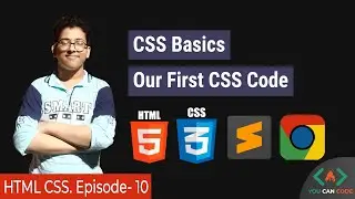 [Bangla] CSS Basics for full beginners | Web Development