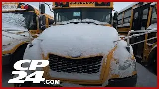 School and bus cancellations across the GTA after major winter storm