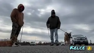 Dog Training | behavioral modification | k9 scent work | puppy training | real results | OBKS 