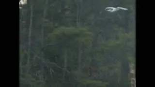 Egret Lake