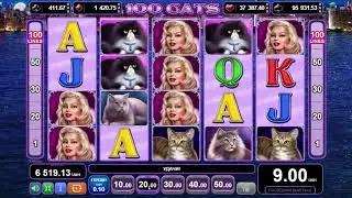 ЗАНОС ДНЯ 100 CATS 