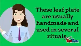 Business Proposal video- Leaf Plates