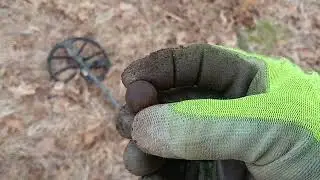 Civil war Buckle and hardware for a sword find.
