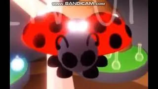 NEON LADY BUG ADOPT ME