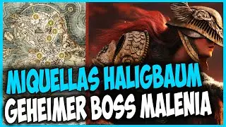 Miquellas Haligbaum und Malenia finden ☆ Geheimer Boss und Ort ☆ Elden Ring