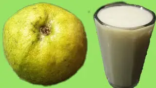 Guava Juice Recipe | Homemade Guava Juice Recipe | Sweet and Healthy Guava Juice | Juice Recipes |