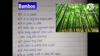 10 Lines Essay on Bamboo in English|Essay on Bamboo in English|Bamboo Essay||