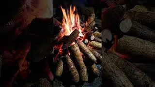 asmr crackling fire | Warm & Cozy: Burning Wood and Cassava #asmr