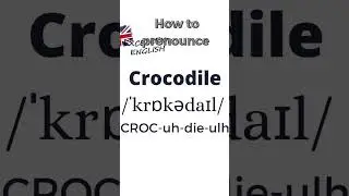 How to pronounce Crocodile in British English? - Animals #shorts