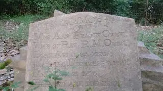 Owen Cemetery, (S.R. 90), Dooly County,GA. 08/19/22. Rick's Random Roadside,video 12.