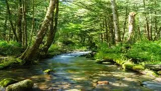 Psalm 1 Inspirational Reading Millie Nelson Smith
