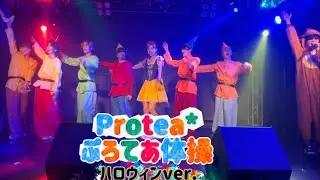 ぷろてあ体操《ハロウィンver.》/Protea*(バイプロテア) 【2025年10月27日@赤羽ReNY α】