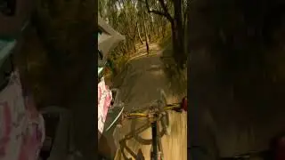 aferraiders en bosque followcam