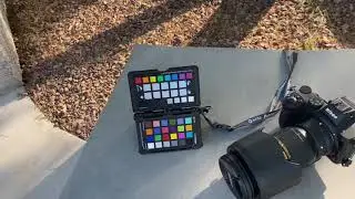 Images from my Nikon Z5 paired w/ the Nikkor 24-70mm f/2.8G ED