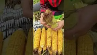 Rural Farmer #4378