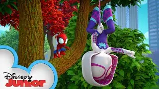 Meet Spidey and his Amazing Friends Short 2 | Spidey Mystery | @disneyjunior @MarvelHQ