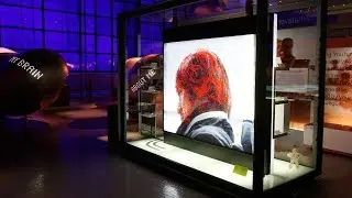 Who Am I? gallery &ndash; an introduction for schools | #STEM