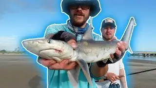 Unknown Shark Fishing Spot Jacksonville florida