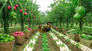 Relax With Harvesting: Dragon Fruit, Soursop, White Radish, Seedless Lemon, Vegetarian Dishes...
