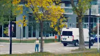Timelapse Pelican Park