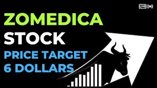 Zomedica (ZOM) Stock Bullish Potential Solid Return On Investment: Price Target Stock Forecast