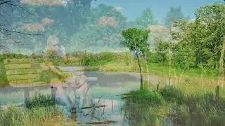 Lake County Forest Preserves: For the Planet