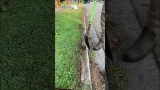 #clean #cleaning #fast #funny #fup #green #fastcleaning #дом #рек #уборка #чистота #чисто #сад