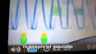 nintendo 3DS birds talking