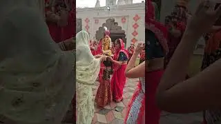 gangaur 2024.. #meenakshi #viral #shorts #rajasthani