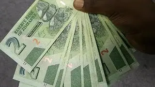 Zimbabwe: Escassez de d&oacute;lares leva &agrave; cria&ccedil;&atilde;o de nova moeda nacional - economy