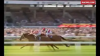 8 historical race wins down the famous Flemington straight