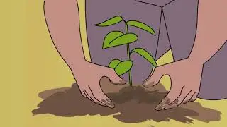 Animated Tree Plantation