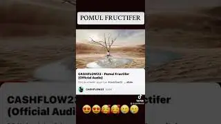 Fii Fericit ! Viata e frumoasa 