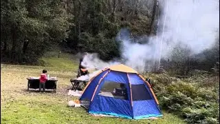 Mill Creek campground #nature #sydneyaustralia#camping #daytrip @Australiawildlife-oz7