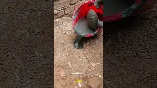 Method of inserting and fixing steel wire stay ropes into the ground 🧵🔩⛏️